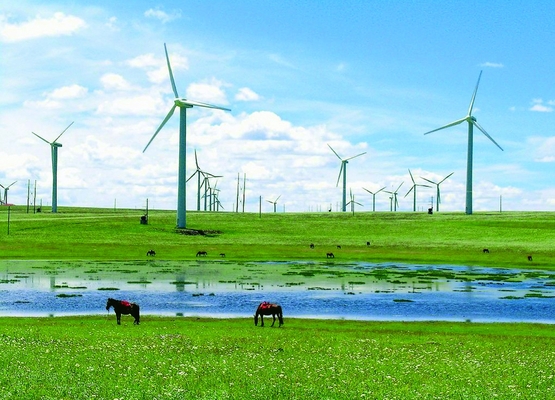 Torre Fabaricated di energia eolica di vento di terra basato sul requisito
