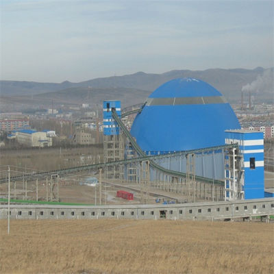 impilatore e ricuperatore del recinto per il bestiame di capacità 3000t/H per la centrale elettrica infornata carbone