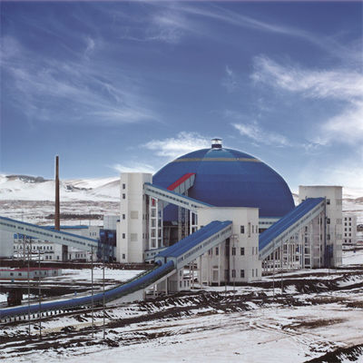 impilatore e ricuperatore del recinto per il bestiame di capacità 3000t/H per la centrale elettrica infornata carbone